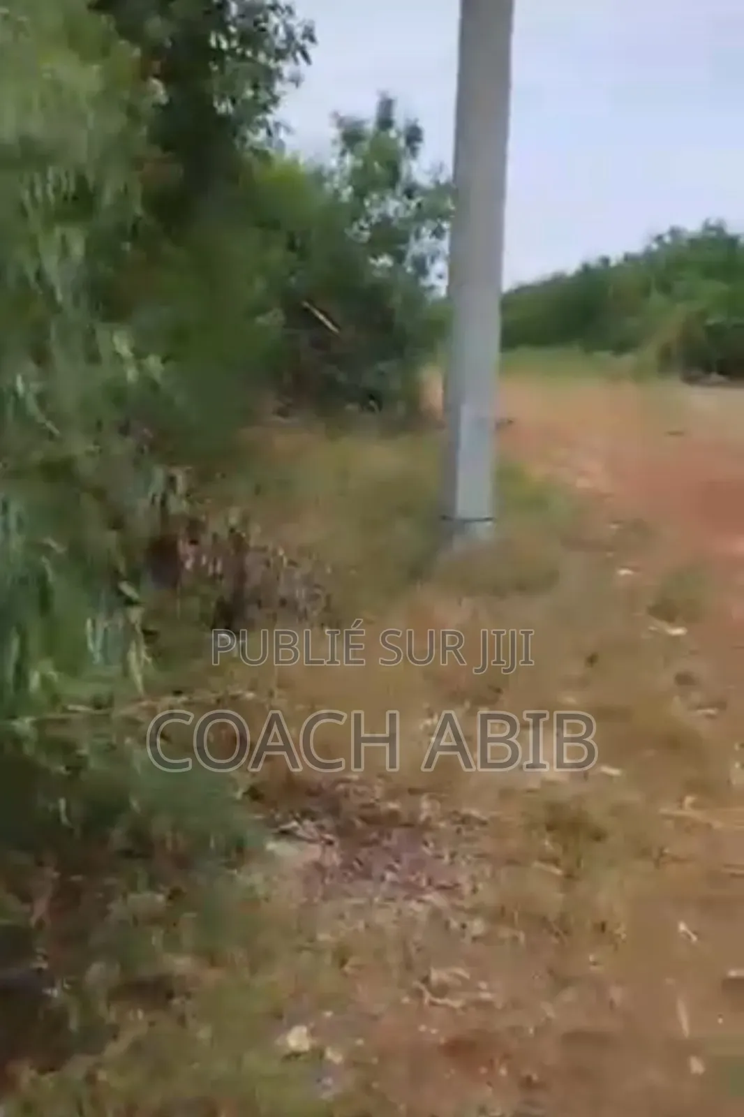 5000m2 À Diamniadio