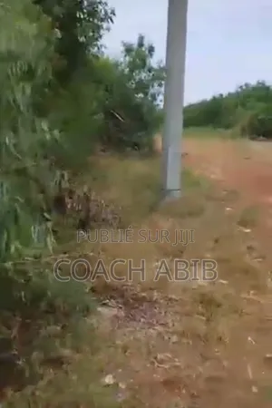 5000m2 À Diamniadio