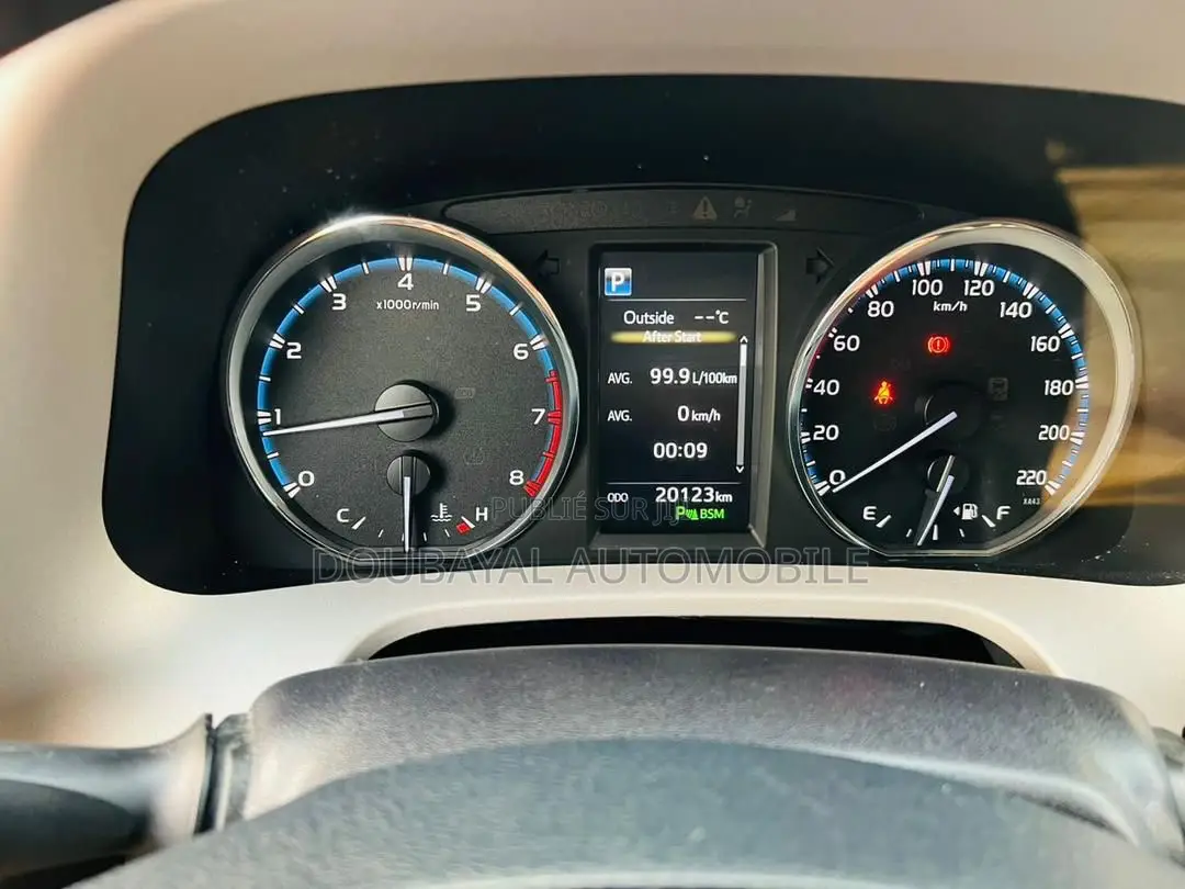 Toyota RAV4 2018 Gris