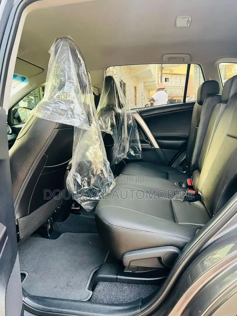 Toyota RAV4 2018 Gris