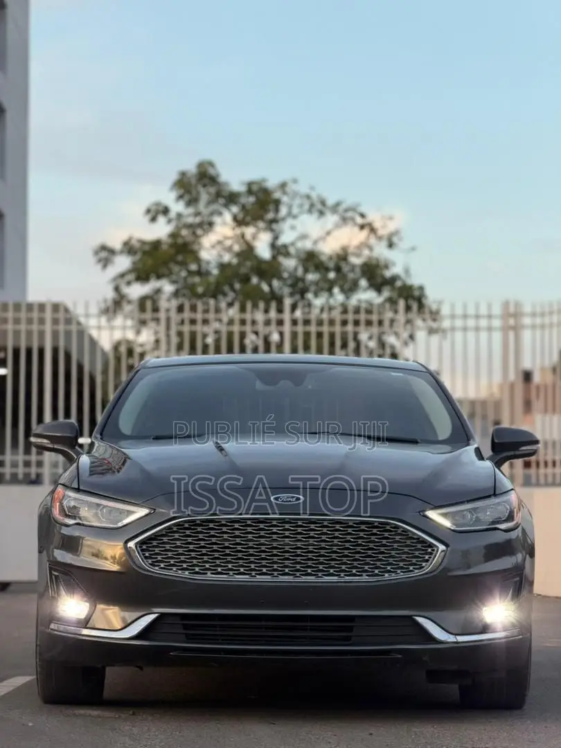 Ford Fusion 2020 Gris