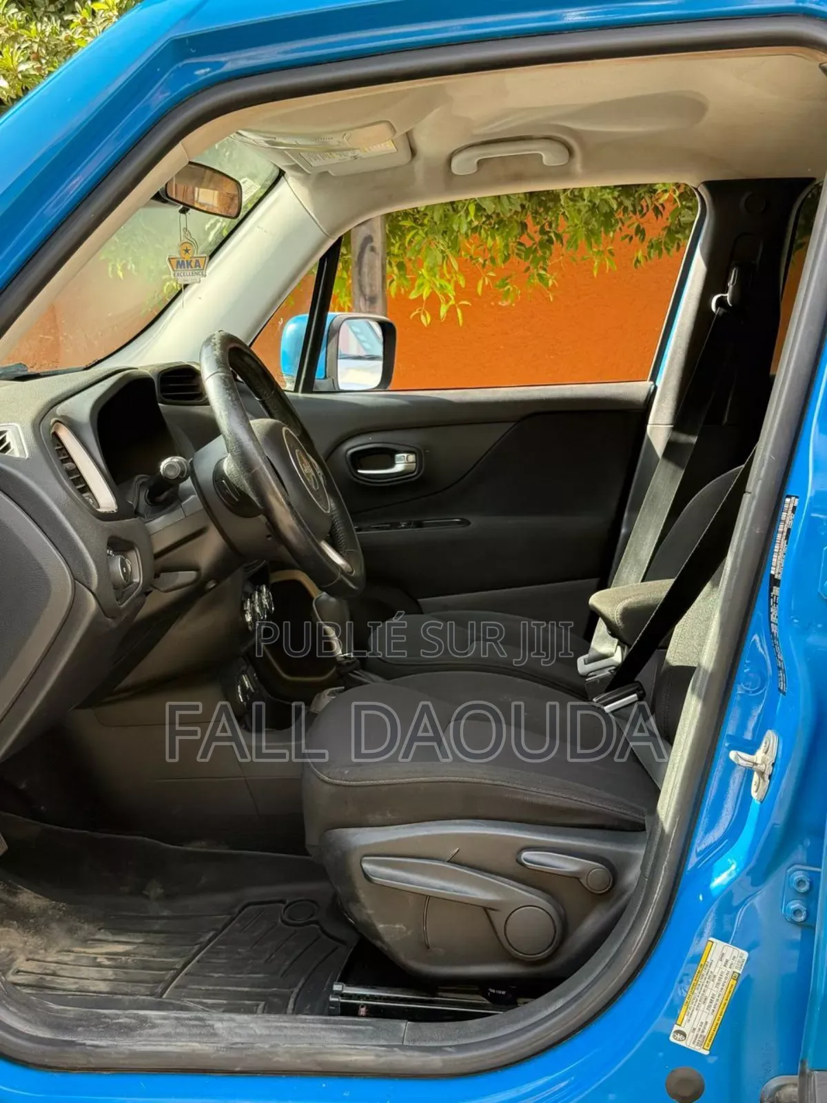 Jeep Renegade 2016 Blue