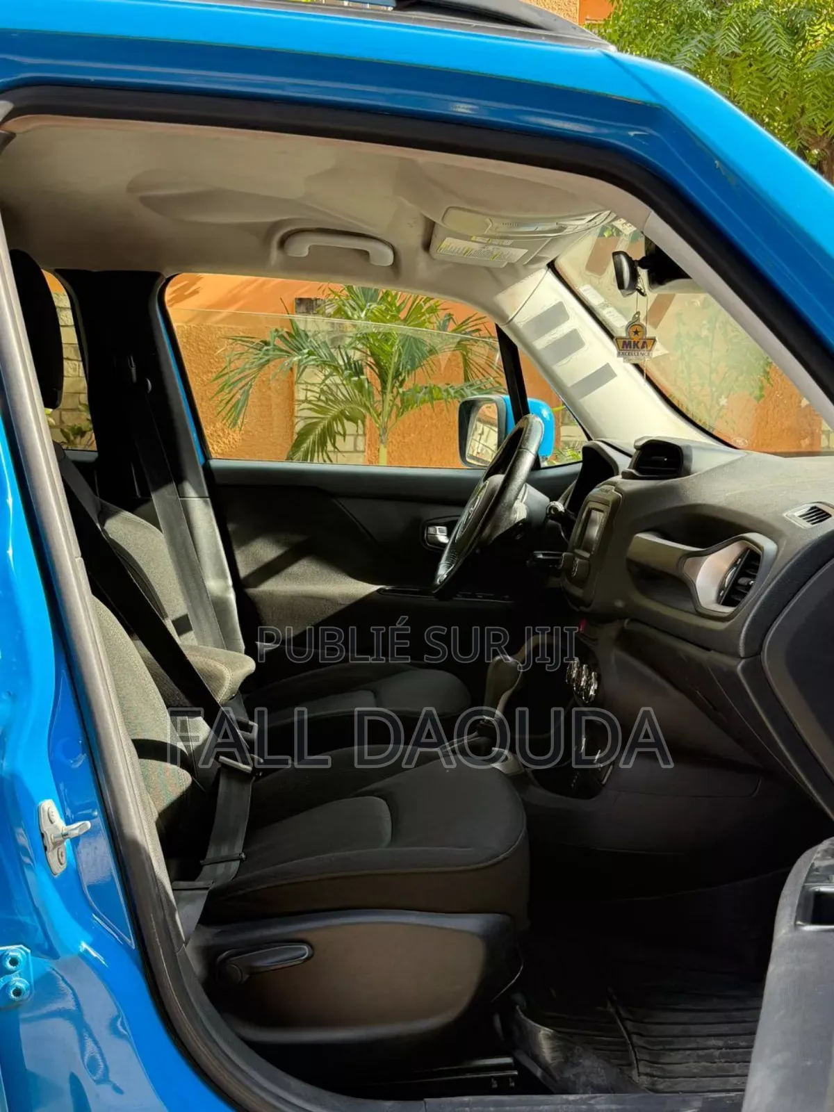 Jeep Renegade 2016 Blue