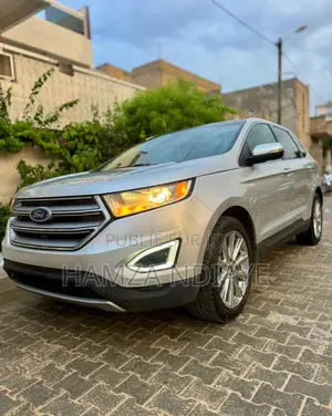 Ford Edge 2018 Gris