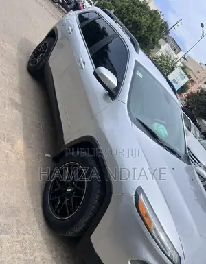 Jeep Cherokee 2015 Gris