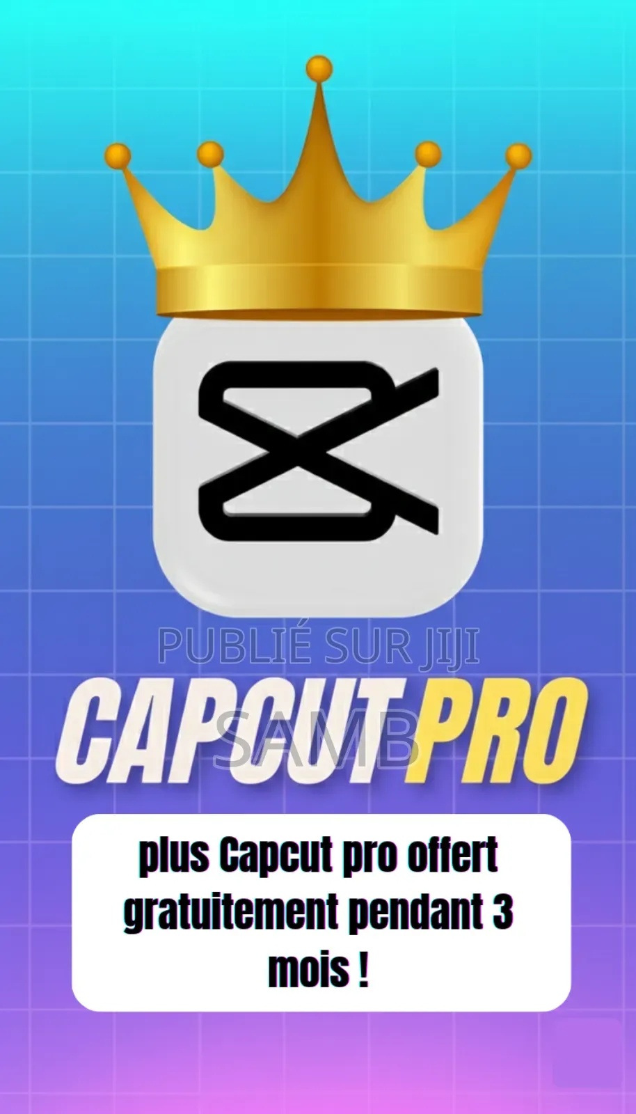 Formation Pour Devenir Pro En Montage Vidéo Avec Capcut