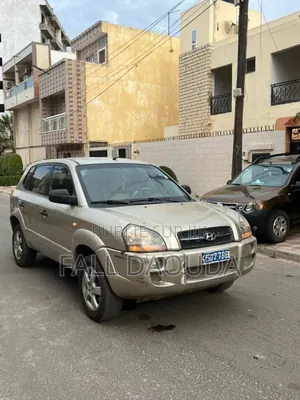 Photo - Hyundai Tucson 2009 Marron