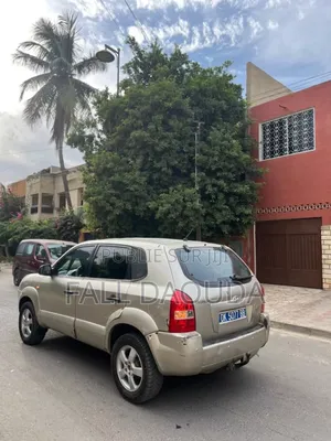 Hyundai Tucson 2009 Marron