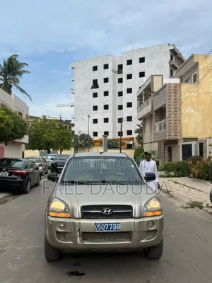 Hyundai Tucson 2009 Marron