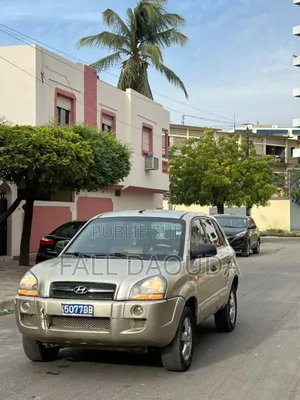 Hyundai Tucson 2009 Marron