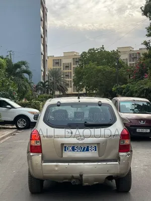 Hyundai Tucson 2009 Marron