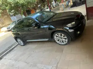 Photo - BMW X6 2010