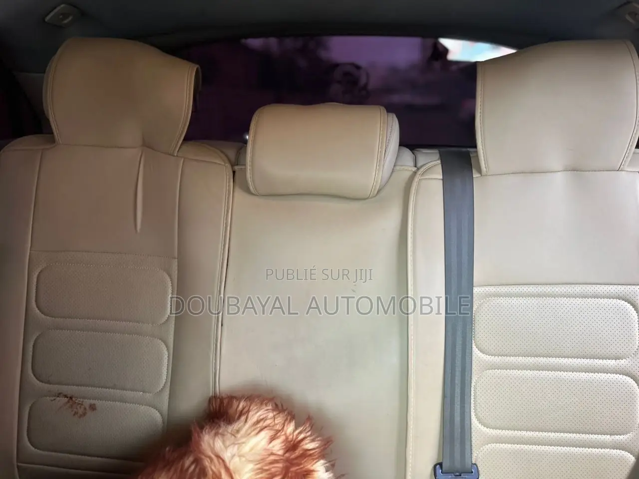 Audi Q5 2.0 TDI Automatic 2011