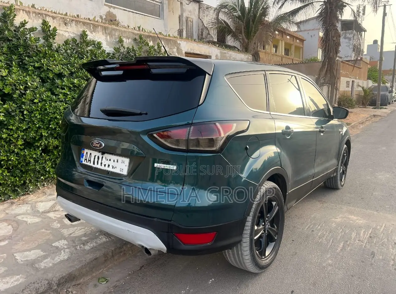Ford Escape 2014 Vert