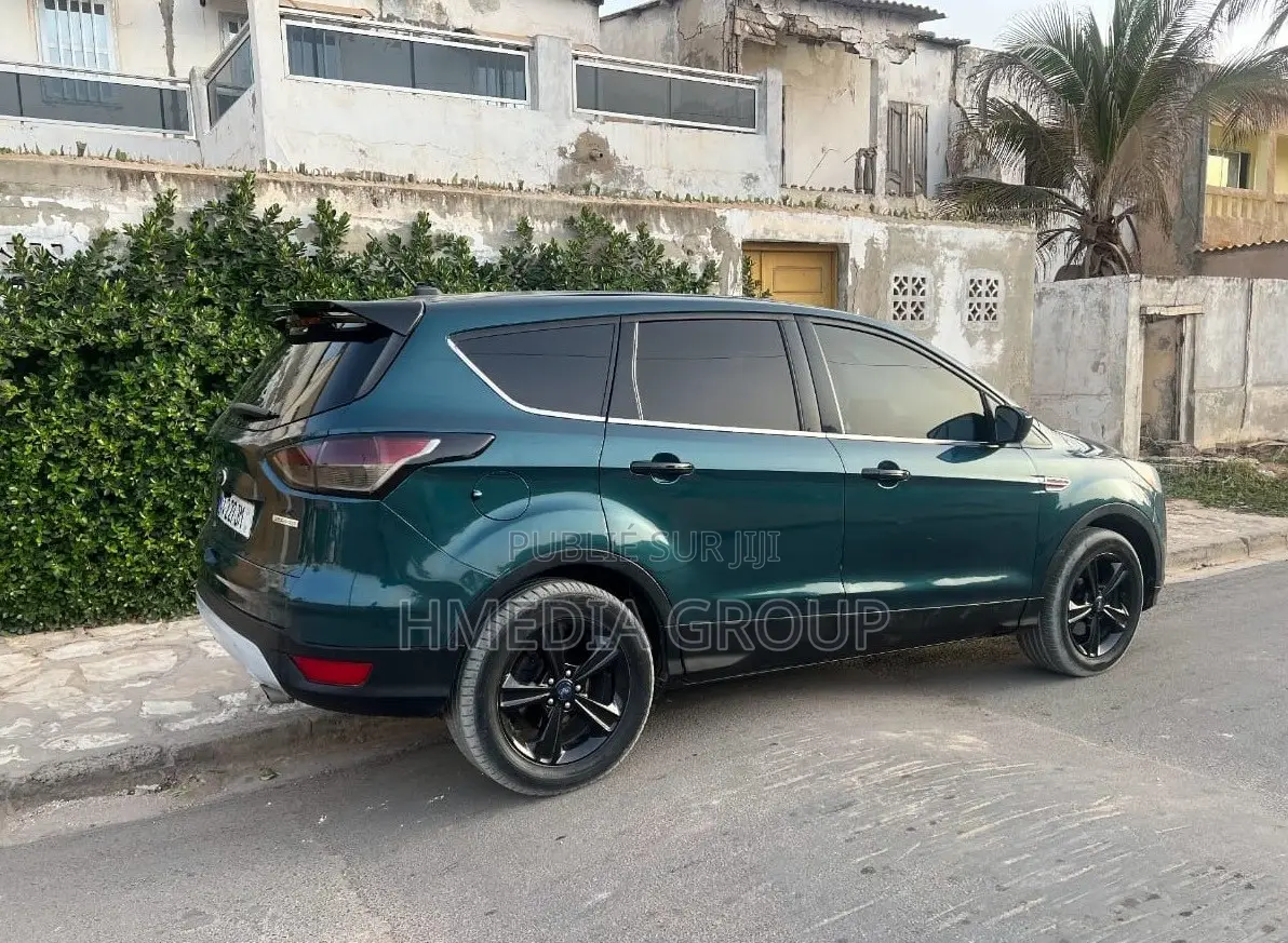 Ford Escape 2014 Vert