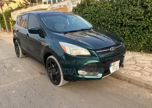 Ford Escape 2014 Vert