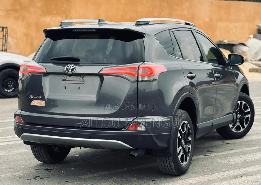 Toyota RAV4 2018 Gris