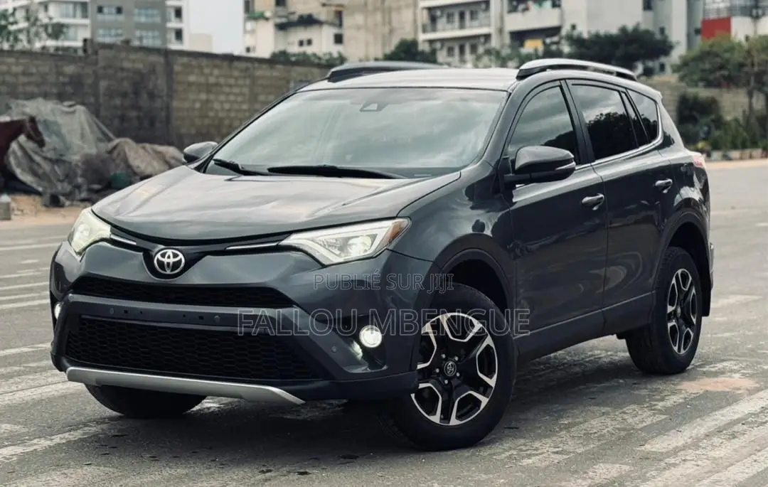 Toyota RAV4 2018 Gris