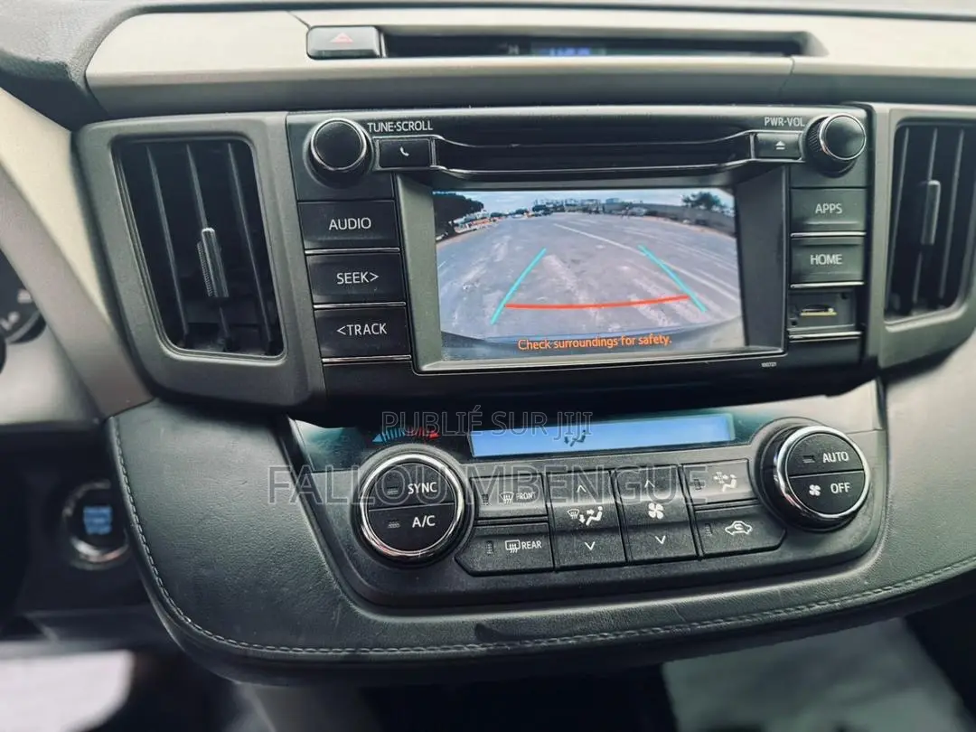 Toyota RAV4 2018 Gris