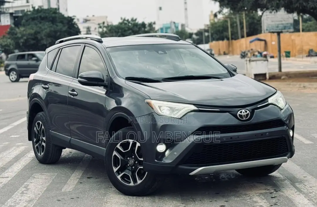 Toyota RAV4 2018 Gris