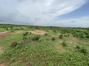 Photo - Vante De Terrain