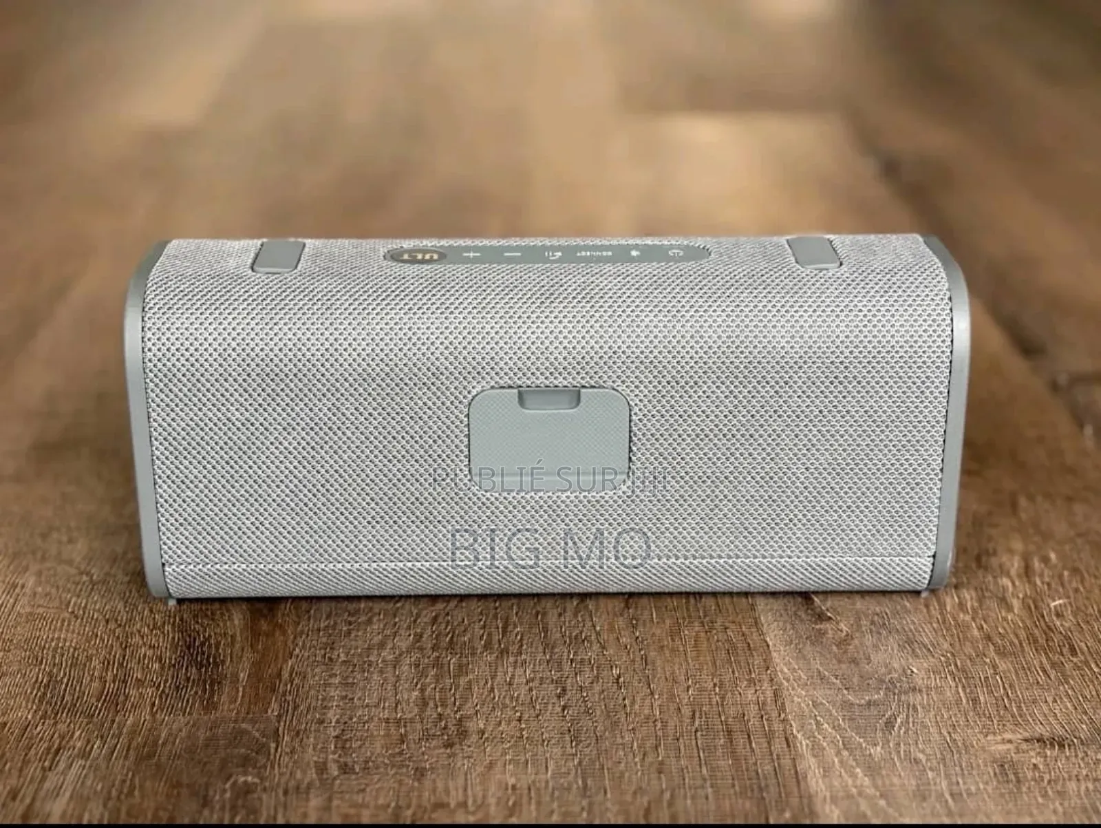 Woofer Sony Ult Field 3 Gris