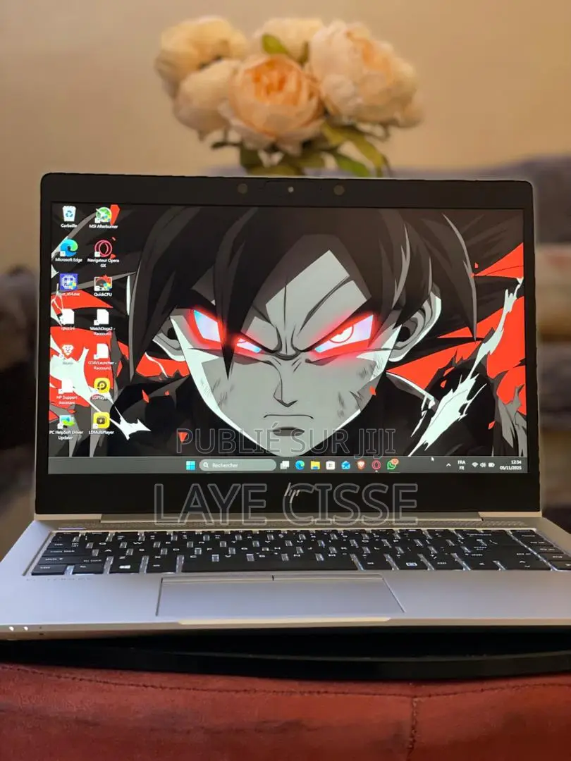 Ordinateur Portable HP EliteBook 745 G6 20GB AMD Ryzen 5 SSD 256GB