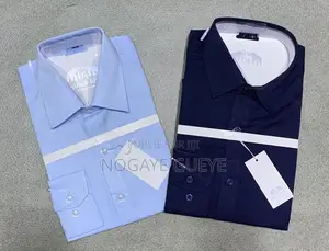 Chemises Longue Manches