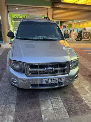 Photo - Ford Escape 2012 Gris