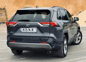 Toyota RAV4 Adventure AWD 2020 Gris