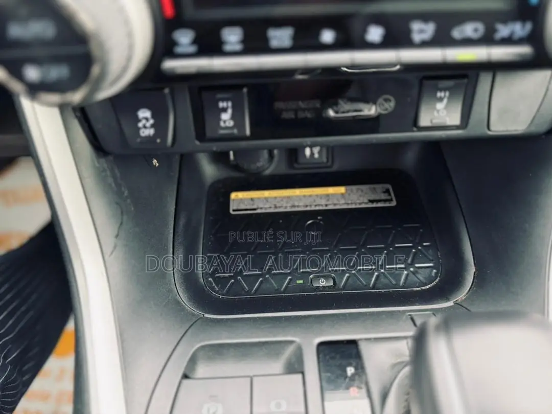 Toyota RAV4 Adventure AWD 2020 Gris