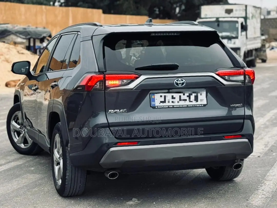 Toyota RAV4 Adventure AWD 2020 Gris