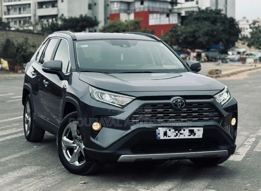 Toyota RAV4 Adventure AWD 2020 Gris