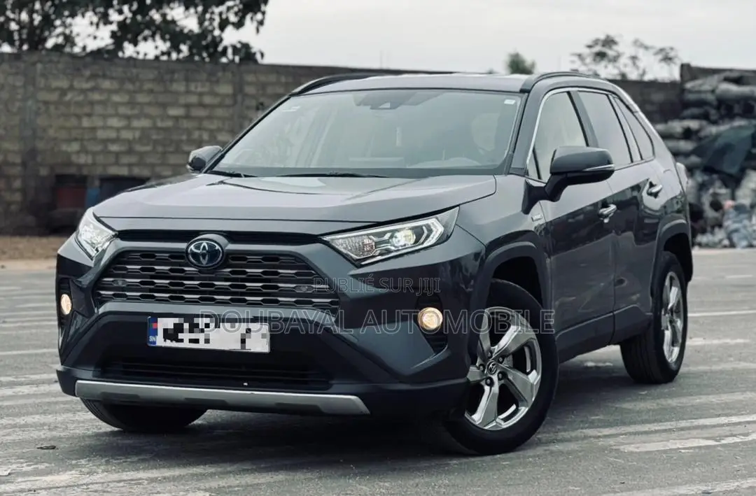 Toyota RAV4 Adventure AWD 2020 Gris