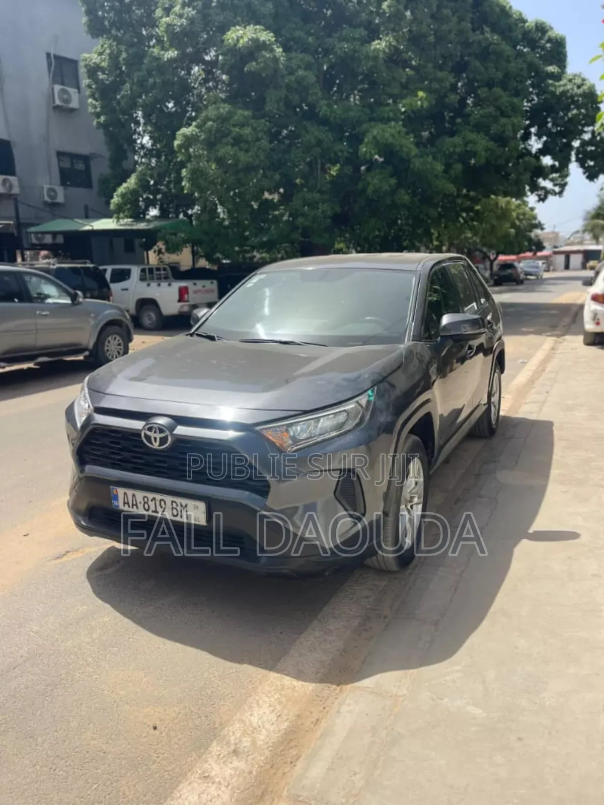 Toyota RAV4 2019 Gris