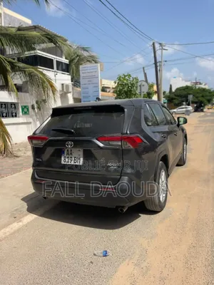 Toyota RAV4 2019 Gris
