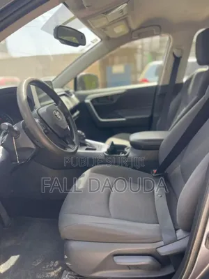 Toyota RAV4 2019 Gris