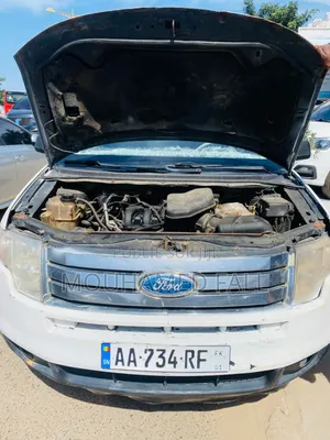 Photo - Ford Edge 2010 Blanc