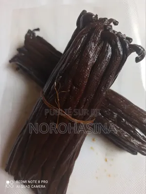 Photo - Vanille Bourbon De Madagascar