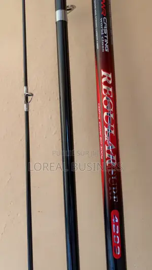 Canne À Pêche 4m20 en Carbone