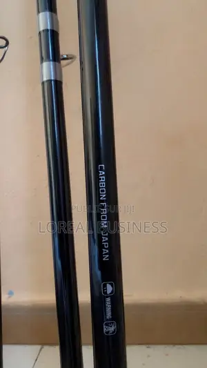 Canne À Pêche 4m20 en Carbone