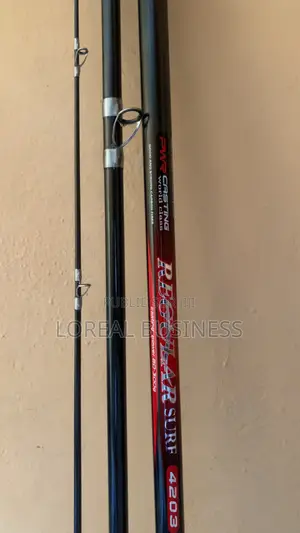 Canne À Pêche 4m20 en Carbone