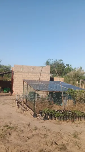 Photo - Un Champ Agricole