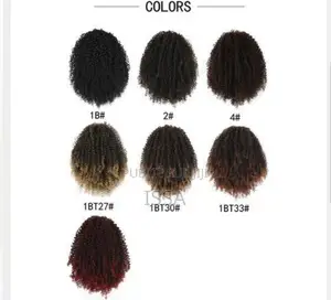 Peruque Femmes Cheveux Courts Frisés