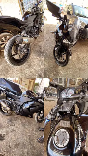 Photo - Kawasaki Ninja 300 2013 Black