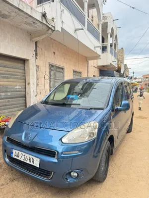 Peugeot Partenaire 2013 Blue