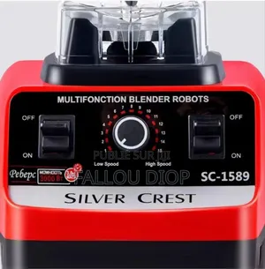 Mixeur Grand Modèle