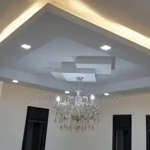 Travaux De Faux Plafonds – Seck & Frère Staff