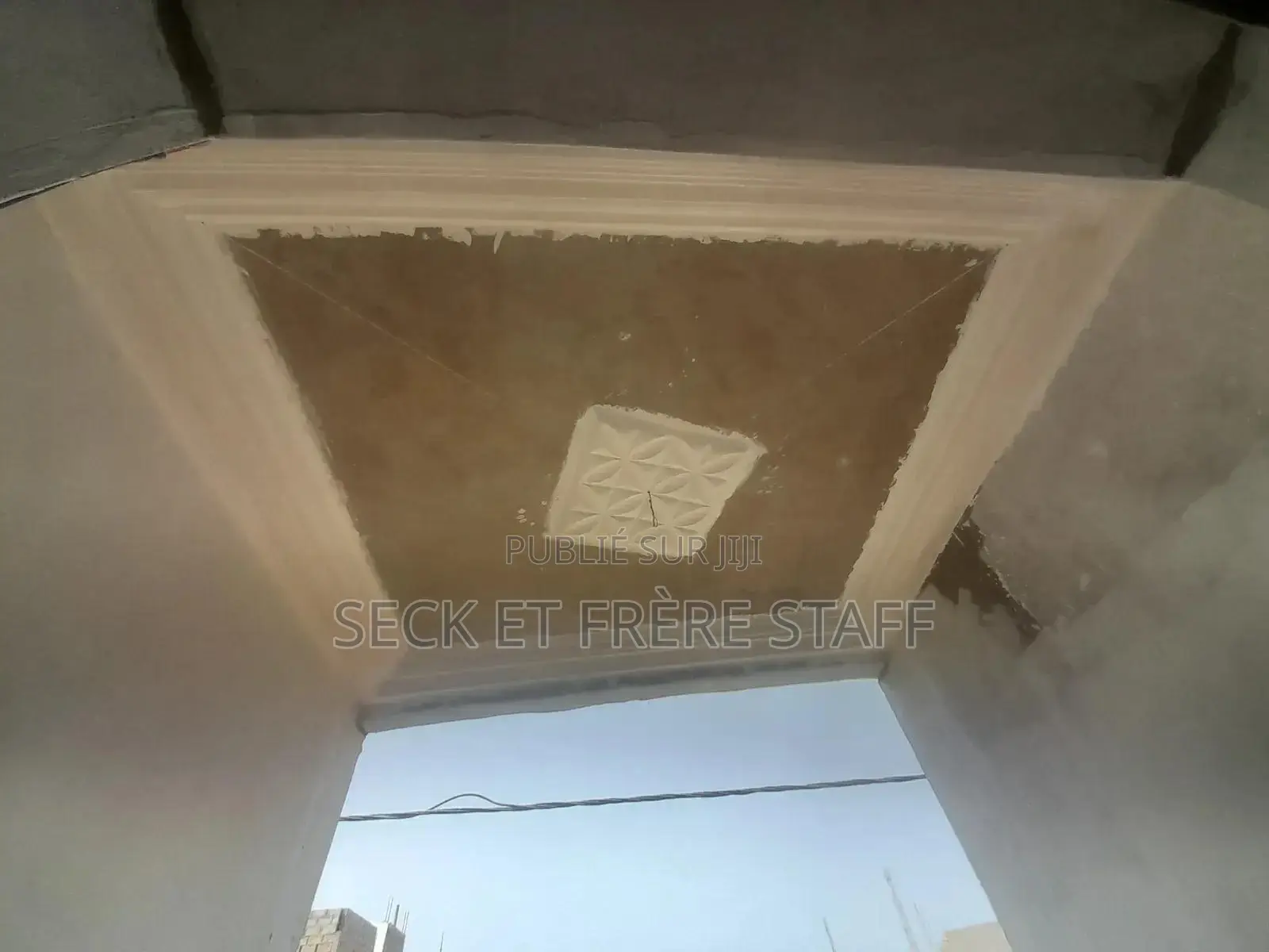 Travaux De Faux Plafonds – Seck & Frère Staff