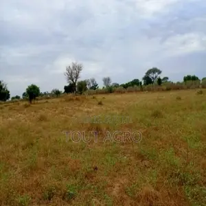 Photo - Terrain De 9 012 M2 Vers Tassette